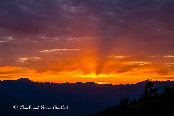 SGNVW-SS 09-03052