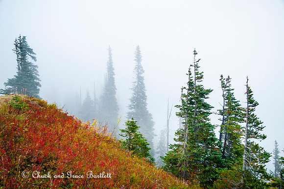 SSEFL-MN 09-03327