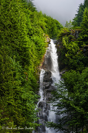 SWAWF 11-01224