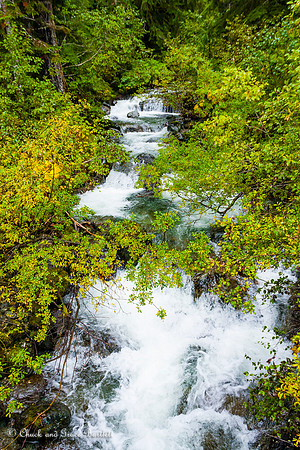 SWACR 11-04364