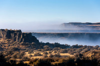 Shrub Steppe