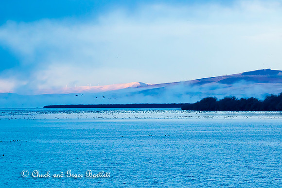 BWFMX 17-06482