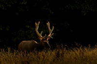 RMEF